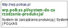 system zarządzania produkcją